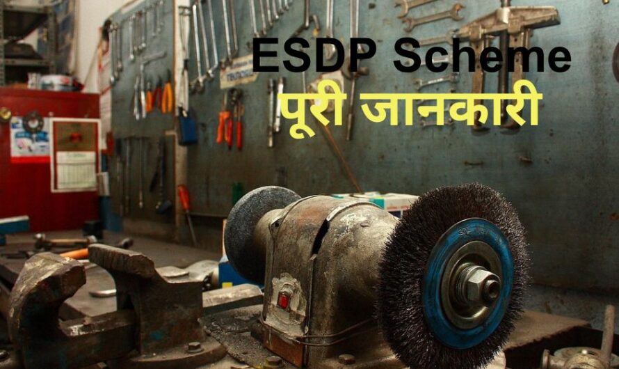 ESDP Scheme (Entrepreneurship and Skill Development Programme), जानिये पूरी जानकारी: